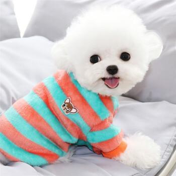 寵物托運如何選擇航空箱-成都寵物空運